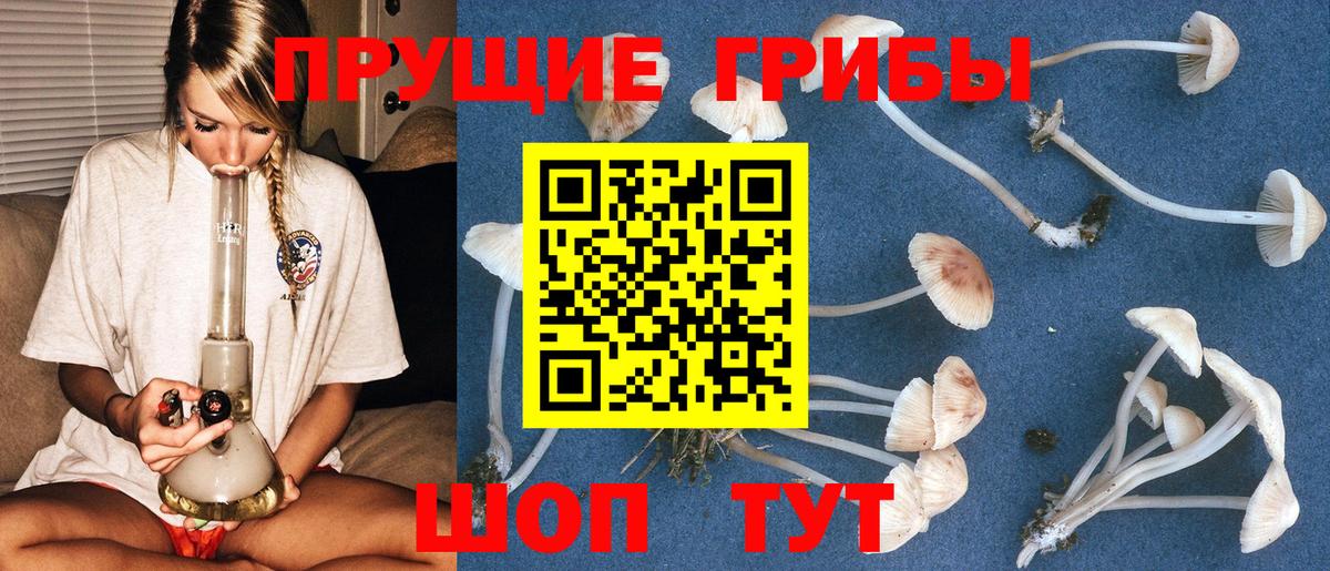 Галлюциногенные грибы GOLDEN TEACHER Железноводск