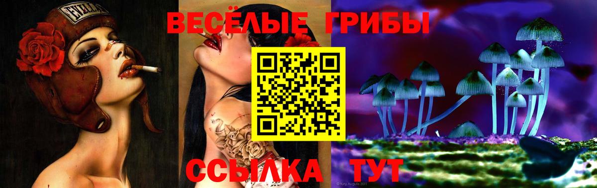 Железноводск  Галлюциногенные грибы MAGIC MUSHROOMS  Псилоцибиновые грибы MAGIC MUSHROOMS  Вход с VPN 